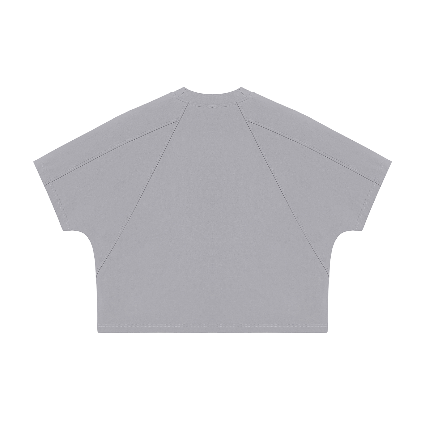 Unisex Boxy Tonal Paneling T-Shirt