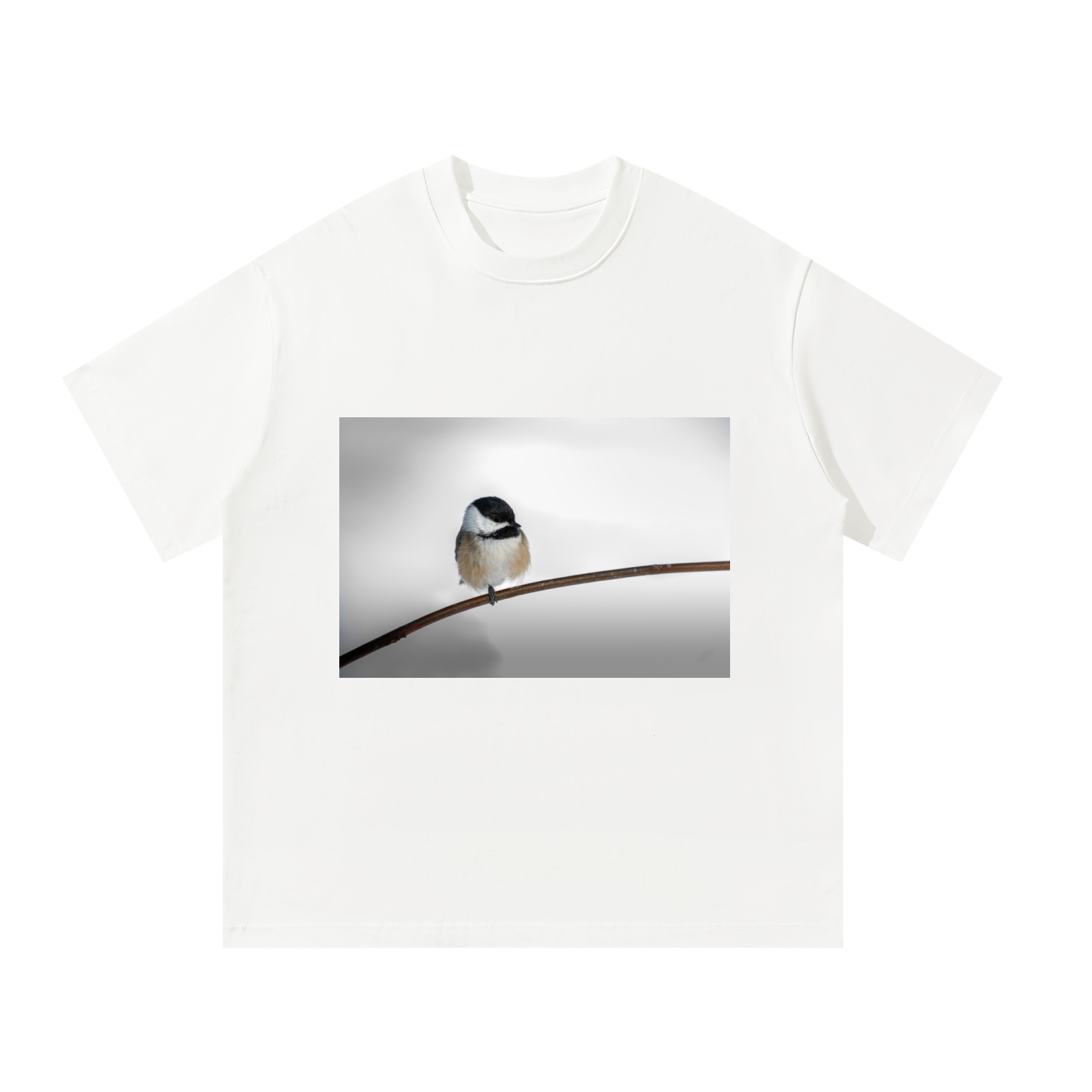 Unisex Oversized T-Shirt