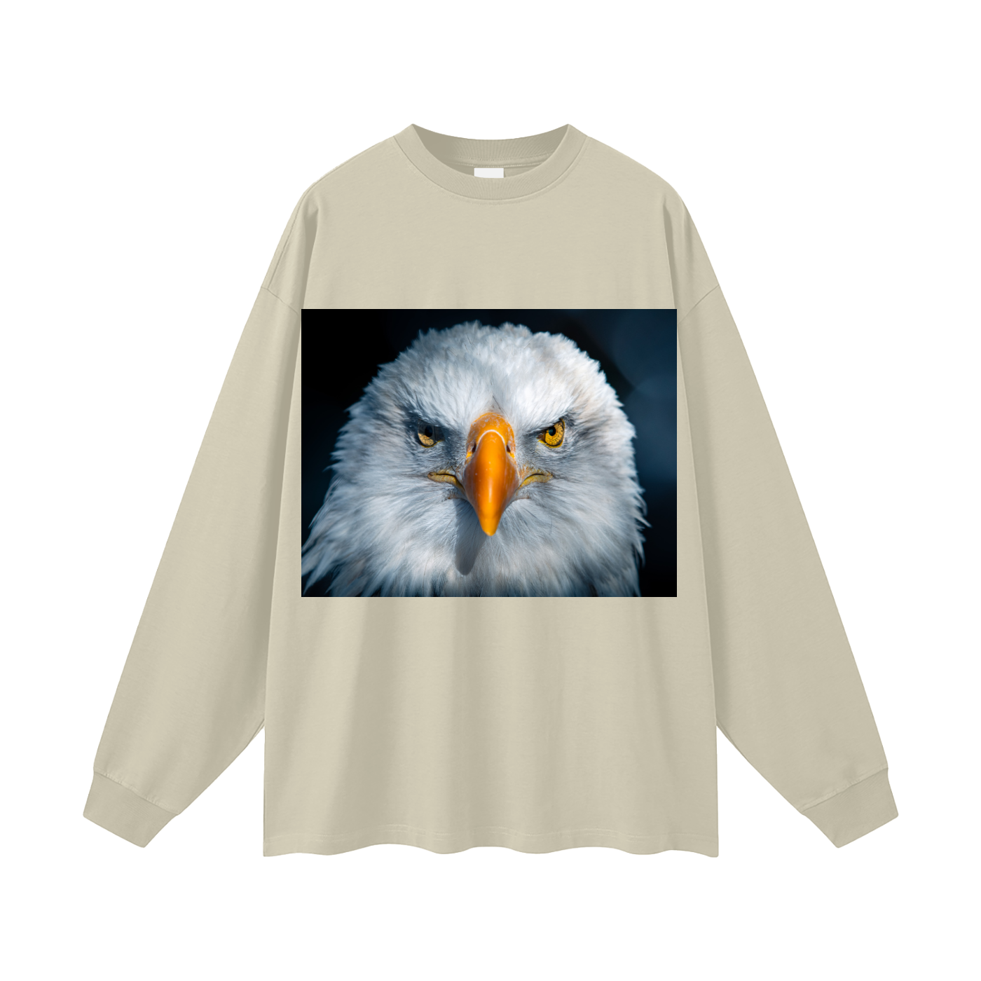 Oversized Unisex Long Sleeve T-Shirt