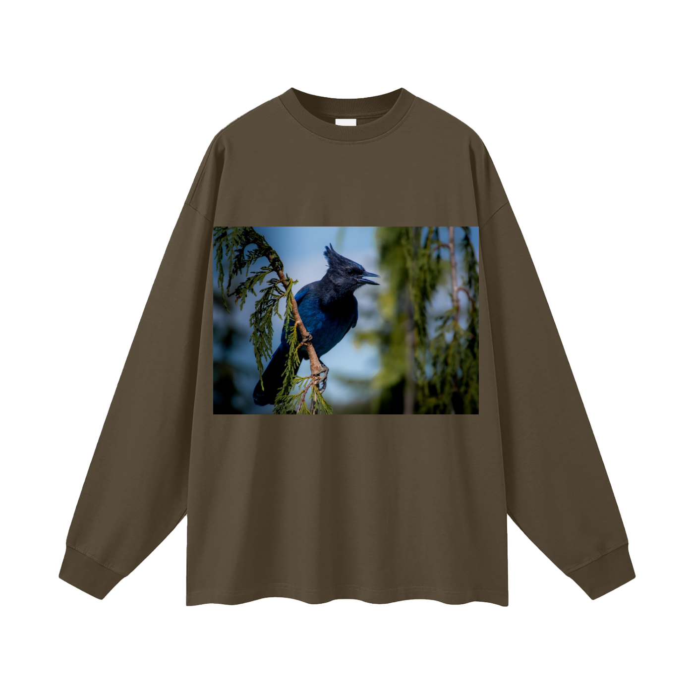 Oversized Unisex Long Sleeve T-Shirt