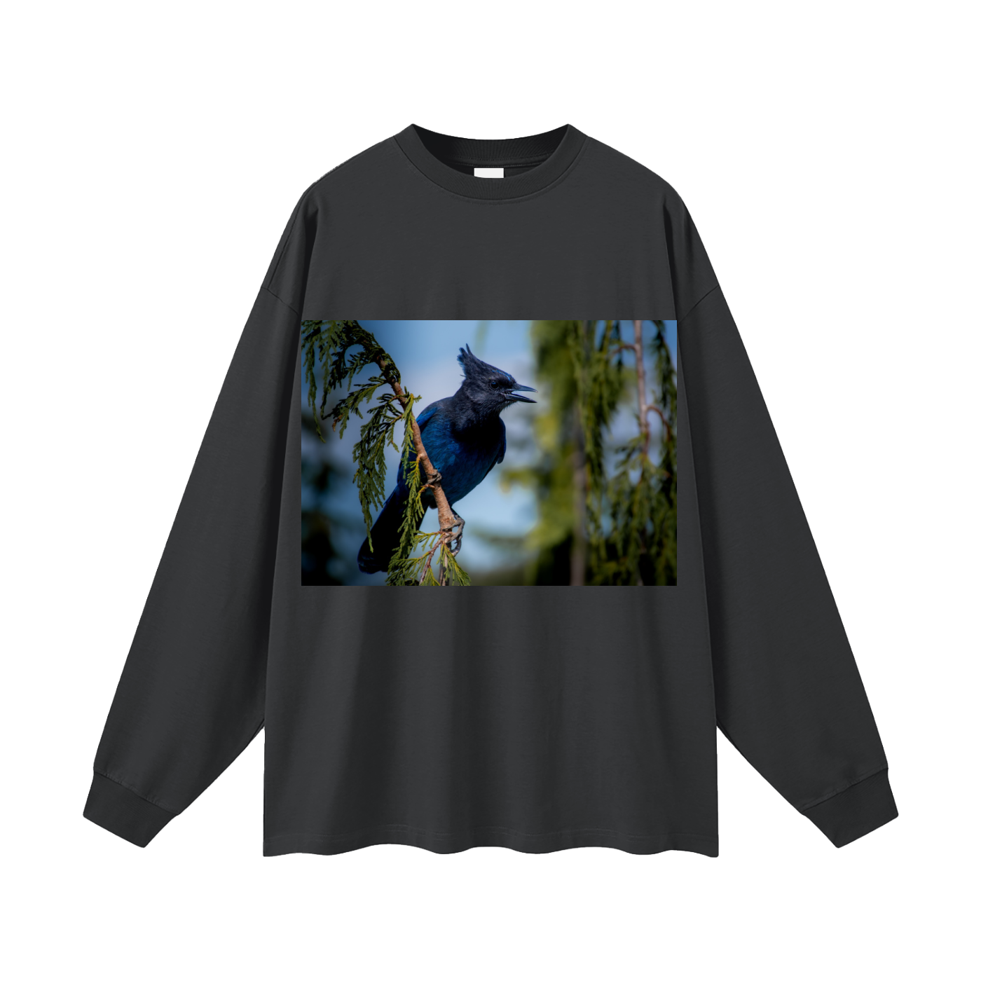 Oversized Unisex Long Sleeve T-Shirt