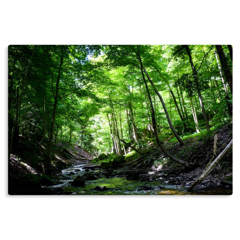 Vault - Metal Prints