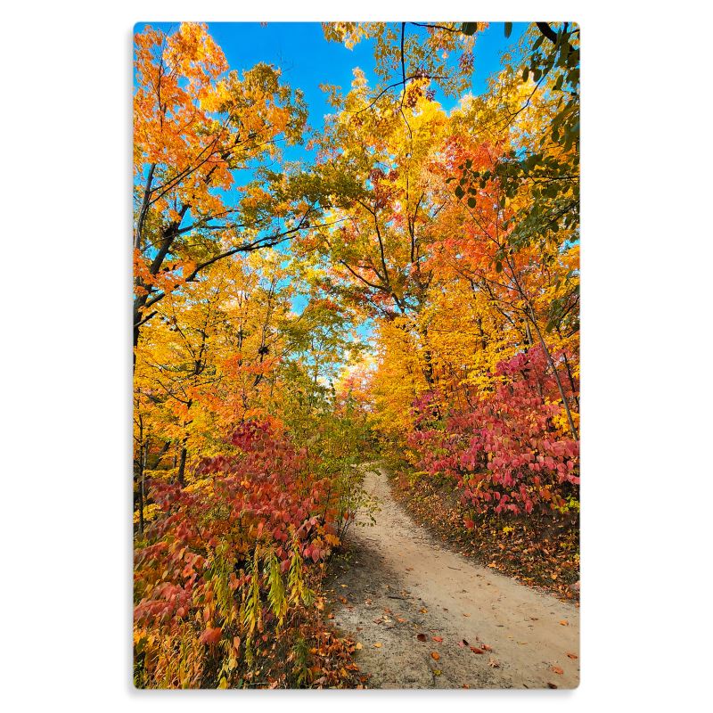 Vibrancy