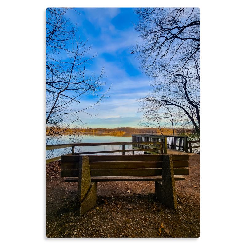 Solo Contemplation - Metal Prints
