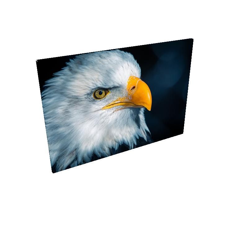 Far Sight - Rectangle Canvas Wholesale & Dropship