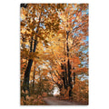 Autumn Passage - Metal Prints