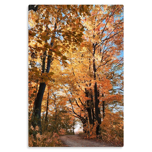 Autumn Passage - Metal Prints