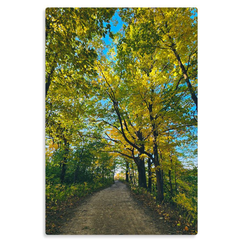 Pensive Promenade - Metal Prints