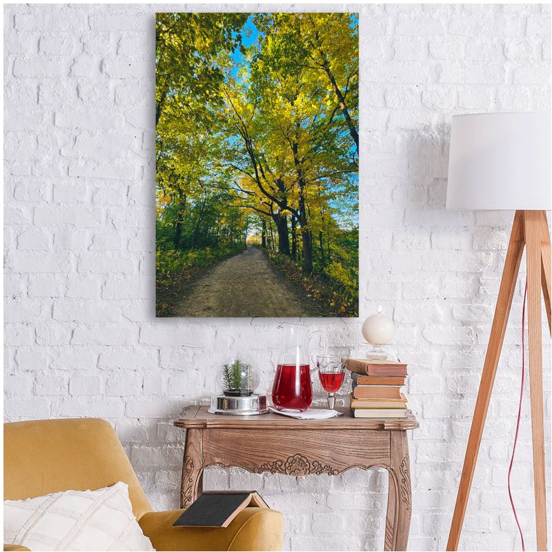 Pensive Promenade - Metal Prints