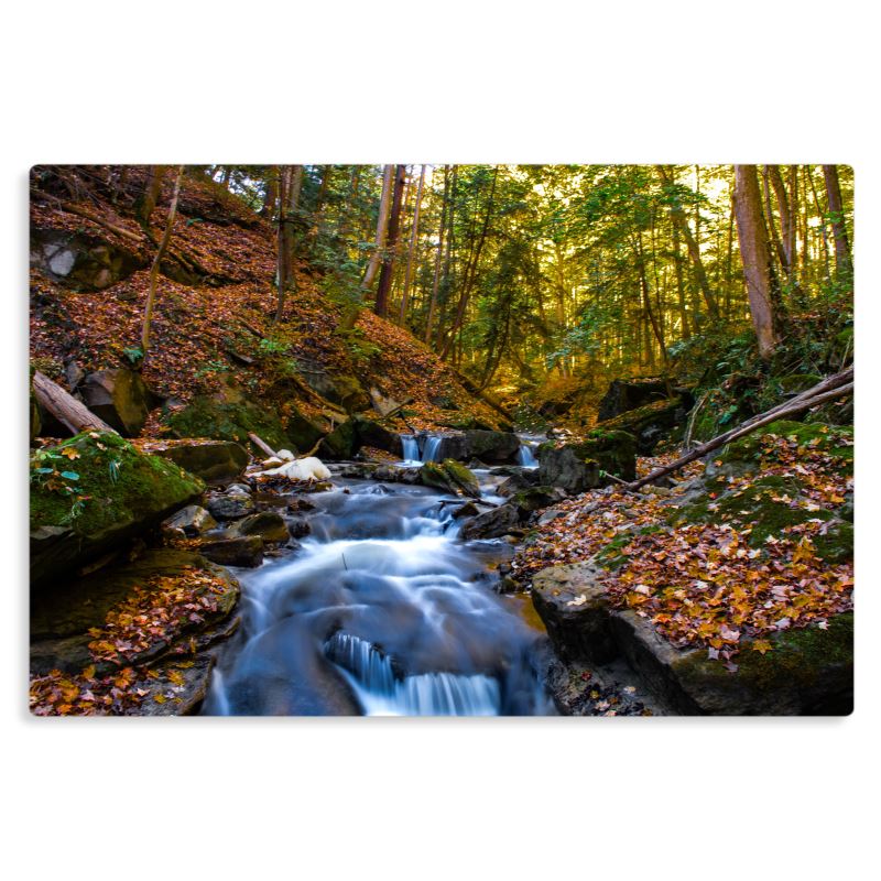 Autumn Stillness - Metal Prints