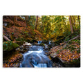 Autumn Stillness - Metal Prints