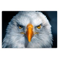 Sight - Metal Prints