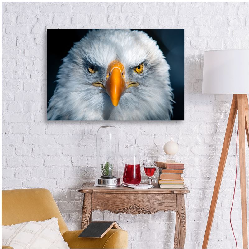 Sight - Metal Prints