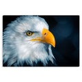 Far Sight - Metal Prints
