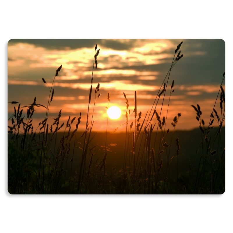 In Perfect Measure - Metal Prints