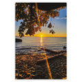 Pacific Spirit - Metal Prints