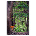 Majesty - Metal Prints