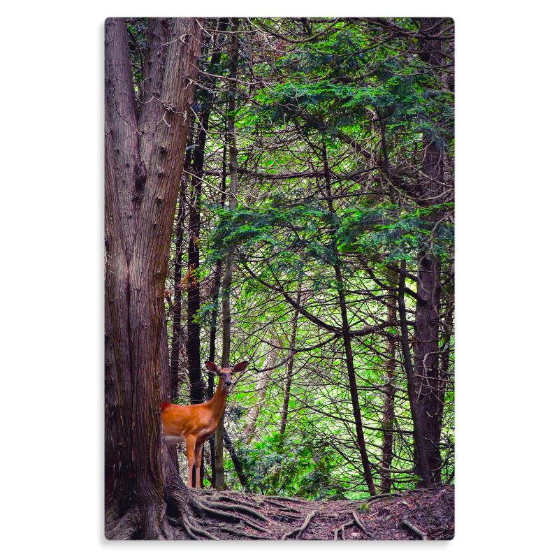Majesty - Metal Prints