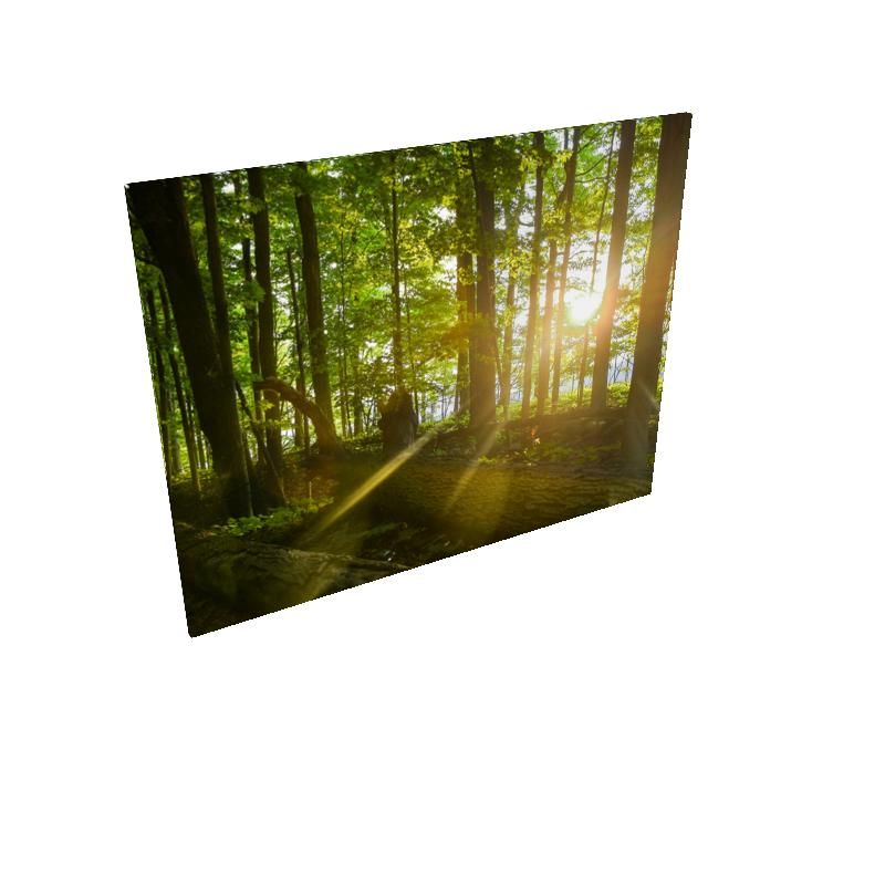 Hike - Rectangle Canvas Wholesale & Dropship