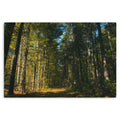 The Green Passage - Metal Prints