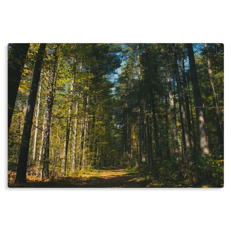 The Green Passage - Metal Prints