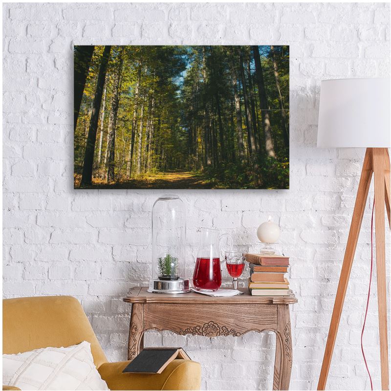The Green Passage - Metal Prints