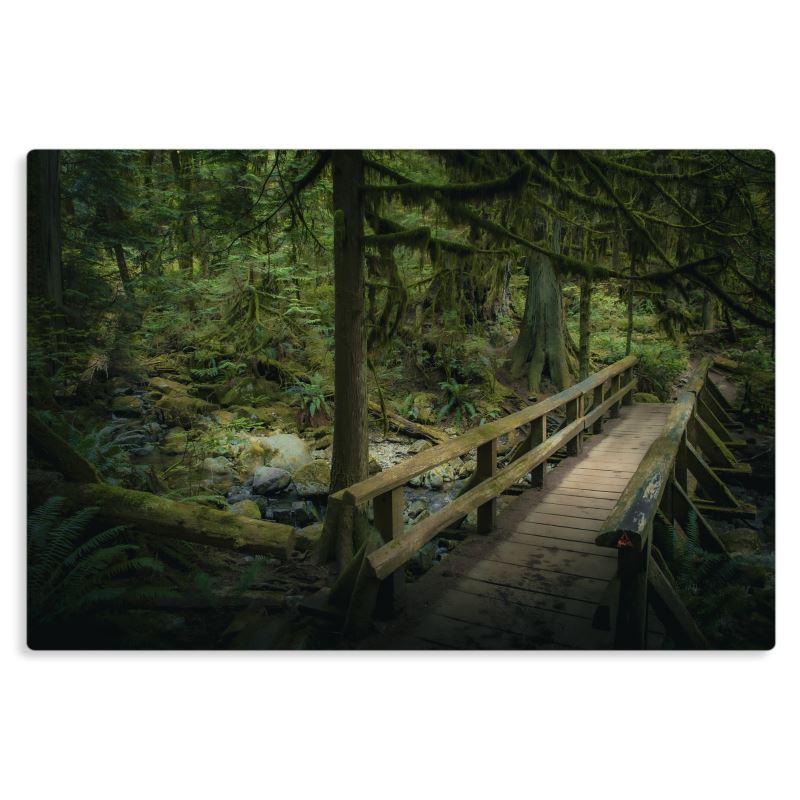 Whyte Lake - Metal Prints