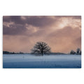 Metal Prints - Metal Prints