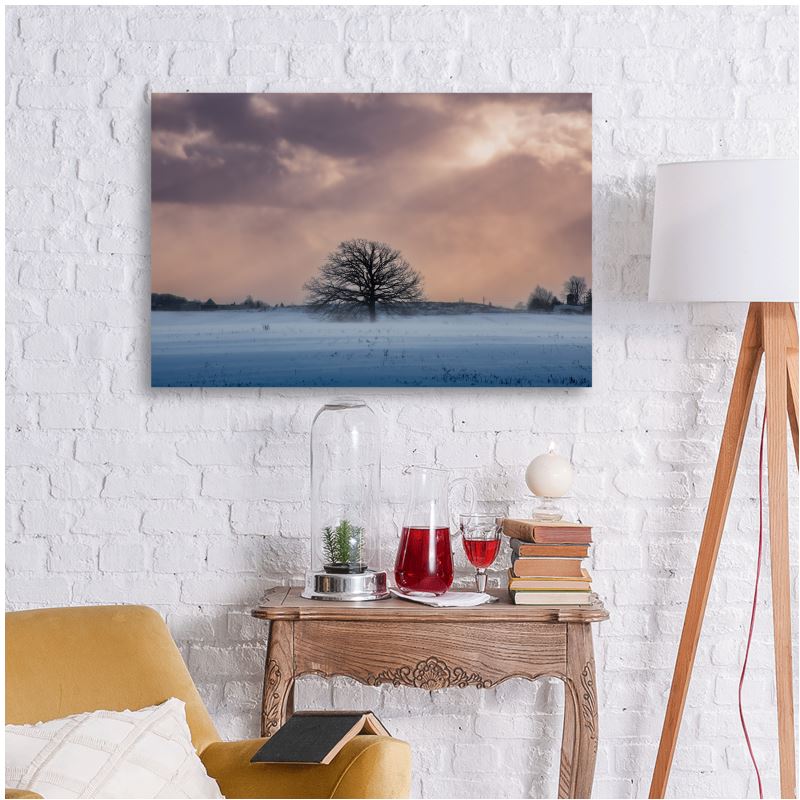 Metal Prints - Metal Prints