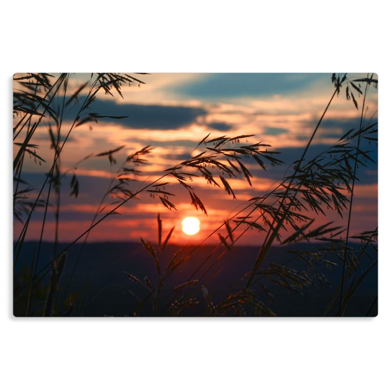 Increased Reward - Metal Prints