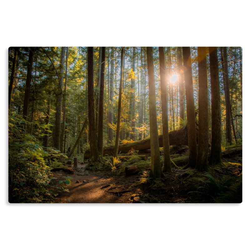 Hike - Metal Prints