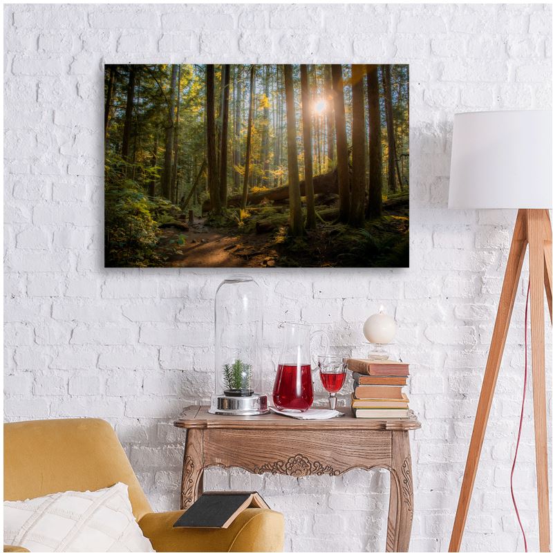Hike - Metal Prints