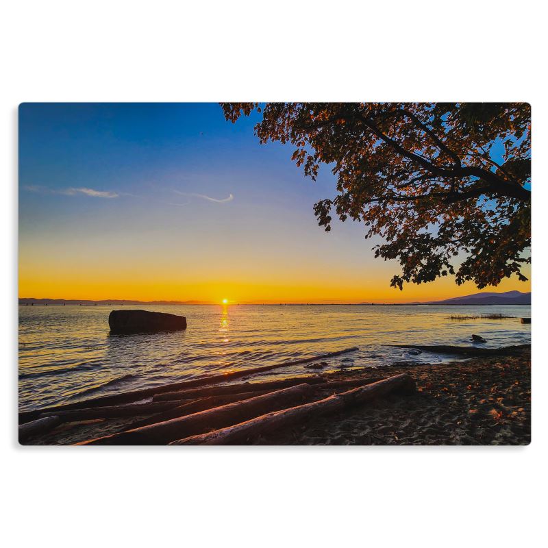 Pacific Spirit Drift - Metal Prints