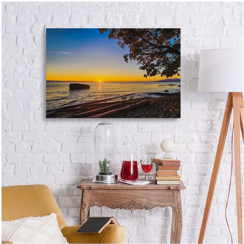 Pacific Spirit Drift - Metal Prints
