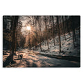 Wintry Course 2 - Metal Prints