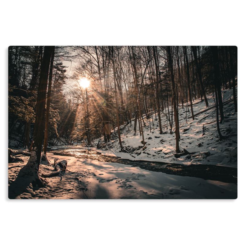 Wintry Course 2 - Metal Prints