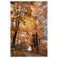 Autumn Passage - Poster Print - Poster Prints