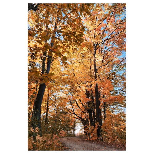 Autumn Passage - Poster Print - Poster Prints