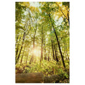 Light Within the Woods - Poster Print - Poster Prints
