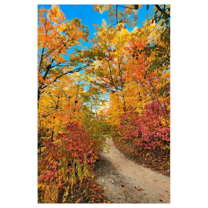 Vibrancy - Poster Print - Poster Prints