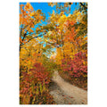Vibrancy - Poster Print - Poster Prints