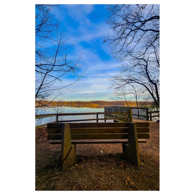 Solo Contemplation - Poster Print - Poster Prints