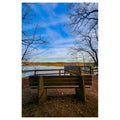Solo Contemplation - Poster Print - Poster Prints