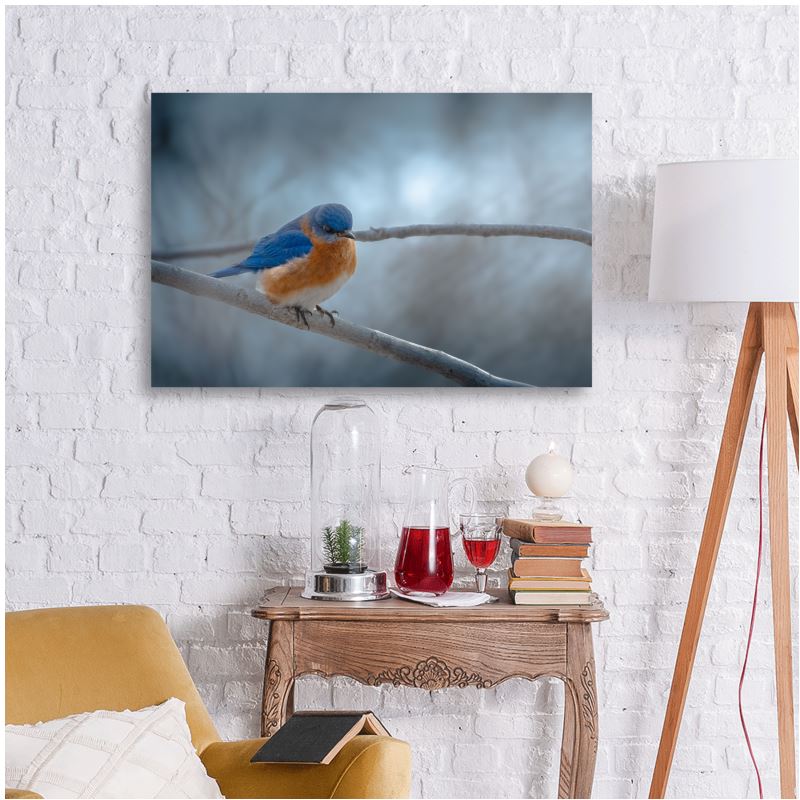 Cold Contemplation - Poster Print