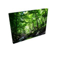Emerald Current - Canvas - Rectangle Canvas Wholesale & Dropship