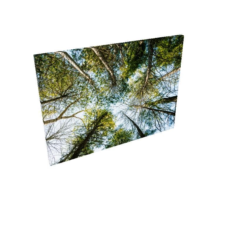 Canopy - Canvas - Rectangle Canvas Wholesale & Dropship