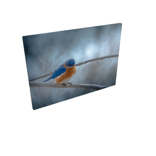 Cold Contemplation - Canvas - Rectangle Canvas Wholesale & Dropship