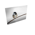 Quiet Balance - Rectangle Canvas Wholesale & Dropship