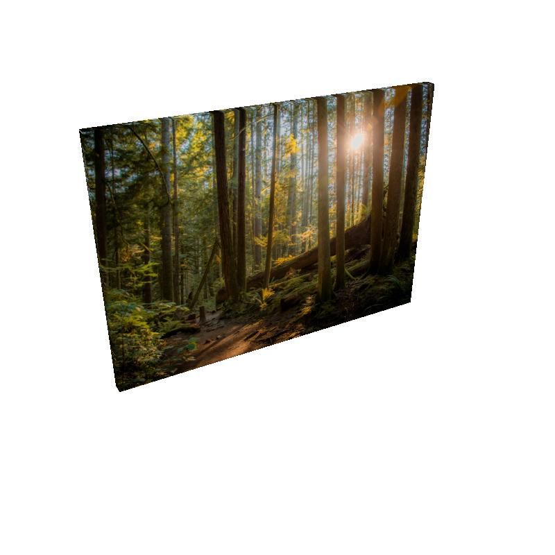 Hike - Canvas - Rectangle Canvas Wholesale & Dropship