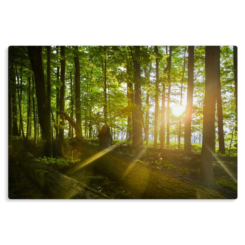 Rest - Metal Prints